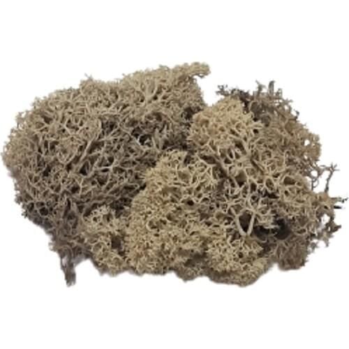 JORDANIA YOSUN 8000 NATUREL 10gr JE00-0508000