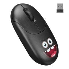 EVEREST SM-26 FASHION 2.4Ghz SIYAH KABLOSUZ MOUSE