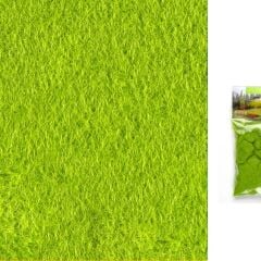 JORDANIA FLOK FISTIK YESILI 25gr JE00-053753