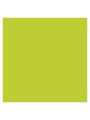 SINAR A4 RENK FOTO KAGIT SPEC FOS YESIL500 LU(321)