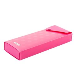 BIGPOINT KALEM KUTUSU PEMBE (BP 247)