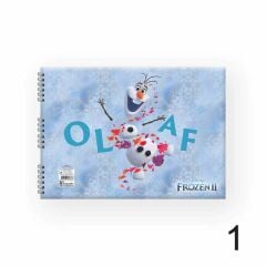 FROZEN DEFTER RESIM SPR 17x25 15YP.KESKIN (300115)