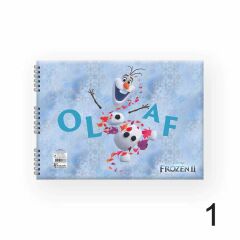 FROZEN DEFTER RESIM SPR 17x25 15YP.KESKIN (300115)