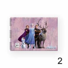 FROZEN DEFTER RESIM SPR 17x25 15YP.KESKIN (300115)