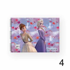 FROZEN DEFTER RESIM SPR 17x25 15YP.KESKIN (300115)