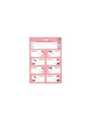 KESKIN ETIKET DERS PROGRAMLI 3 LU HELLO KITTY 2201