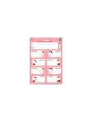 KESKIN ETIKET DERS PROGRAMLI 3 LU HELLO KITTY 2201