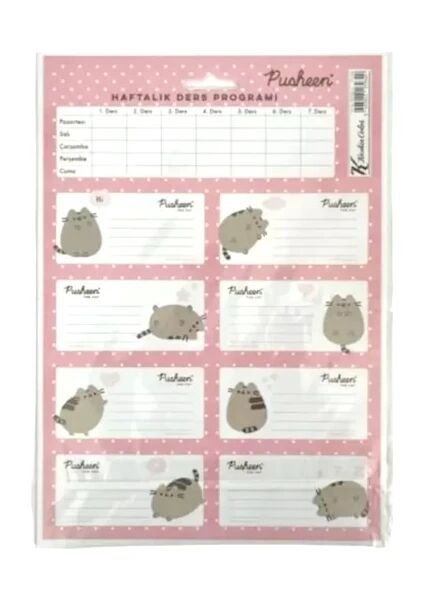 PUSHEEN DERS PROGRAMLI 3LU ETIKET 220130-10