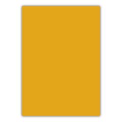 BIGPOINT CILT KAPAGI A4 160MIC TURUNCU (BP688-45)