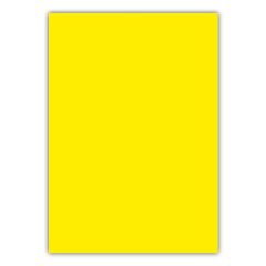 BIGPOINT CILT KAPAGI A4 160MIC SARI (688-15)