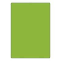 BIGPOINT CILT KAPAGI A4 160MIC YESIL (BP688-55)