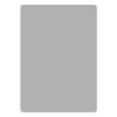 BIGPOINT CILT KAPAGI A4 160MIC  GRI (688-85)