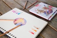 BRUYNZEEL  EXPRESSION COL.PENC.24