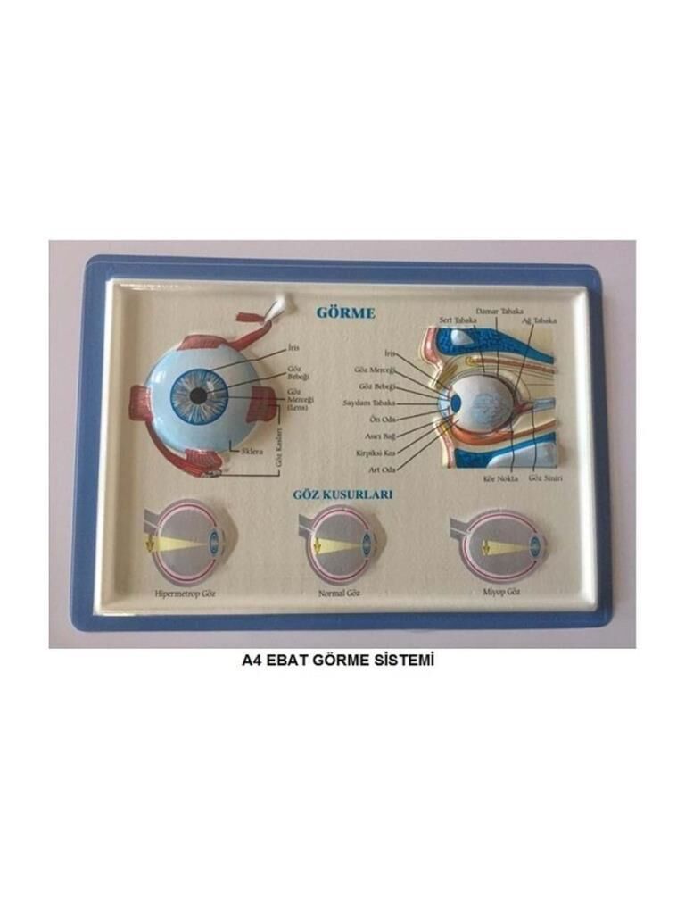 PUTI KABARTMALI GORME SISTEMI