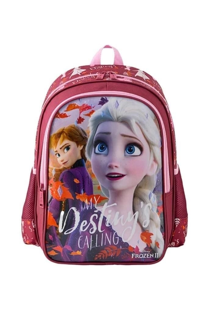 FROZEN ILKOKUL CANTASI HAWK MY DESTINY 48031