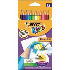 BIC AQUACOULEUR KURU/SULUBOYA 12 RENK (8575613)