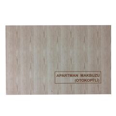 DILMAN APARTMAN GELIR GIDER MAKBUZU 14X20 2 NUSHA