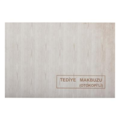 DILMAN TEDIYE MAKBUZU 14x20 2 NUSHA