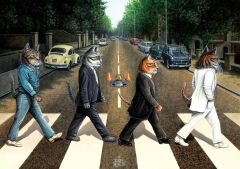 ART PUZZLE 1000 PARCA 98x48 CM KEDI YOLU