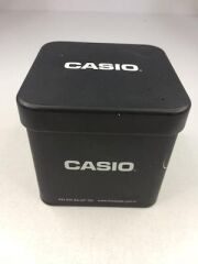 CASIO METAL SAAT KUTUSU