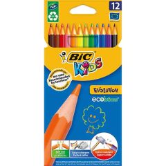 BIC EVOLUTION KURUBOYA 12 RENK (829029)