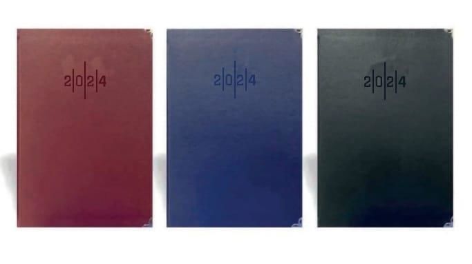 LIZ 17X24 SUNI DERI AJANDA CIZGILI (AJ927) 2024