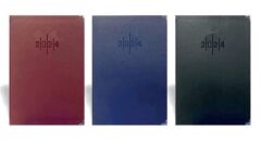 LIZ 17X24 SUNI DERI AJANDA CIZGILI (AJ927) 2024