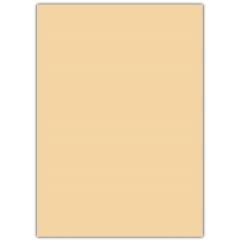 SINAR A4 RENK FOTO KAGIT  250 LI A.SARI IVORY(100)