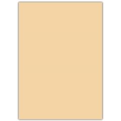SINAR A4 RENK FOTO KAGIT  250 LI A.SARI IVORY(100)