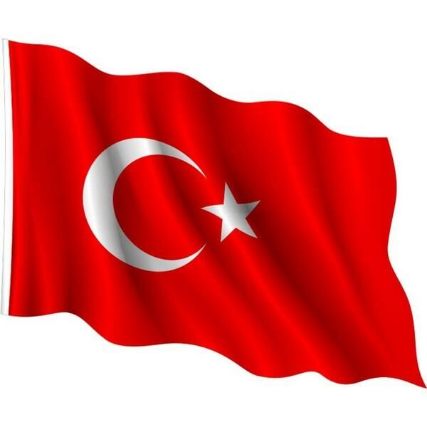 VATAN BAYRAK POLYESTER70x105cm.(106)
