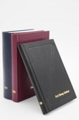 DILMAN CARI HESAP DEFTERI CILTLI DIK 20x28 192 YP