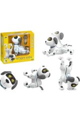 AKROBATIK KOPEK UZAKTAN KUMANDALI