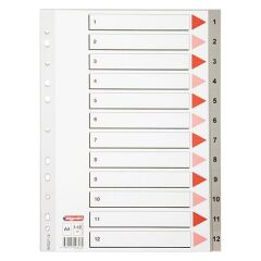 BIGPOINT SEPERATOR  PLASTIK A4 12 RENK (BP228-12)