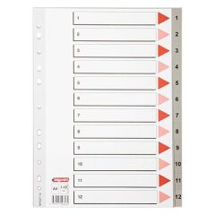 BIGPOINT SEPERATOR  PLASTIK A4 12 RENK (BP228-12)