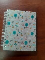 LIZ AYRACLI PLANNER 12x17 AJT02