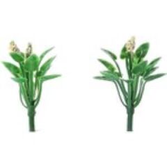 JORDANıA CICEK PEMBE 2.5cm JE03P-FL3225P